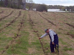 Planting Crew